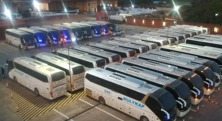 MULYKAP BUSES